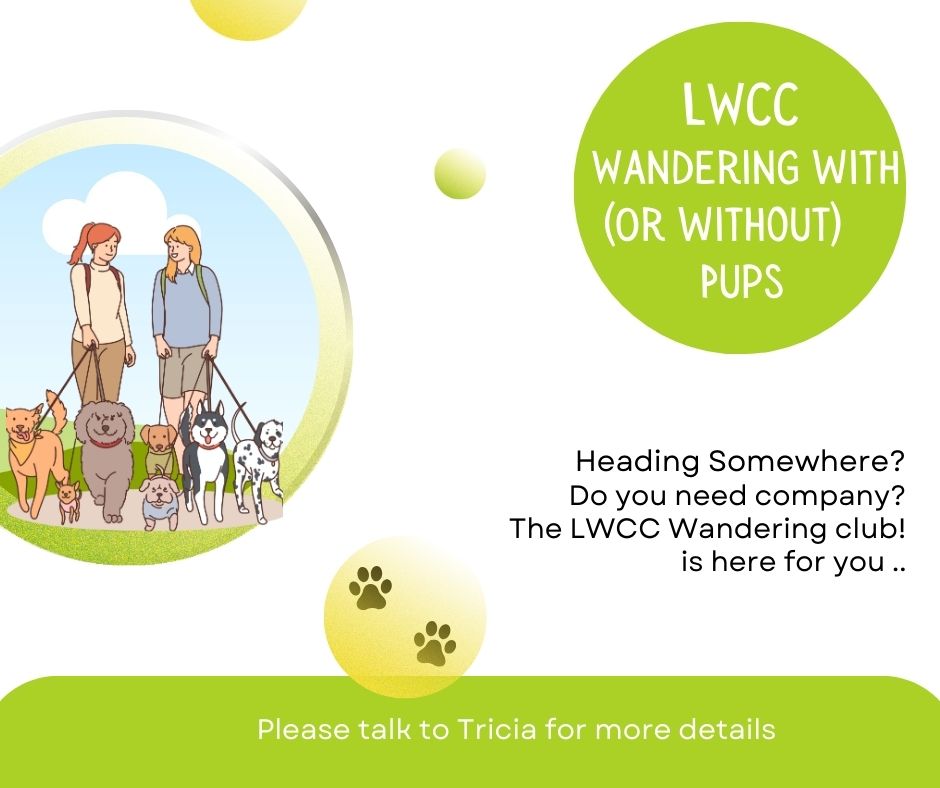 LWCC Wandering